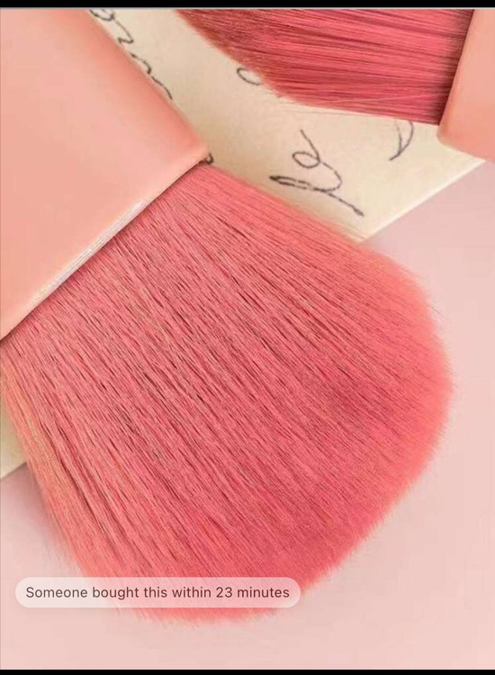 sheglam travel brush set