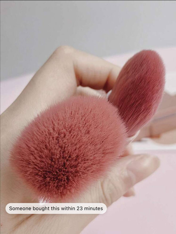 sheglam travel brush set